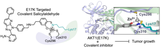 AKT figure